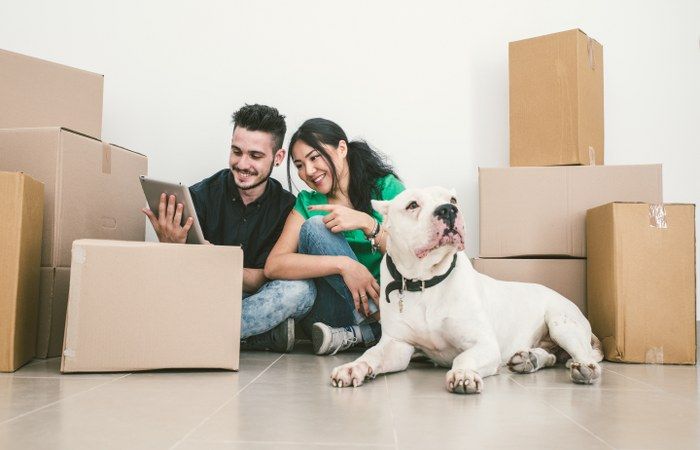 moving with pets