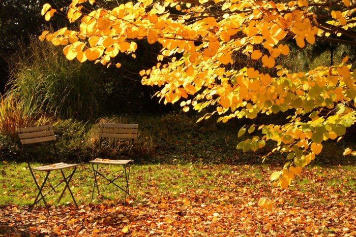 moving house in autumn