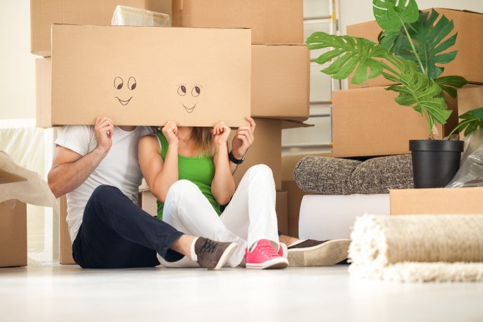 domestic removals