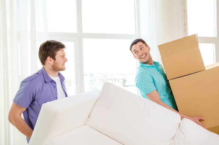 professional movers