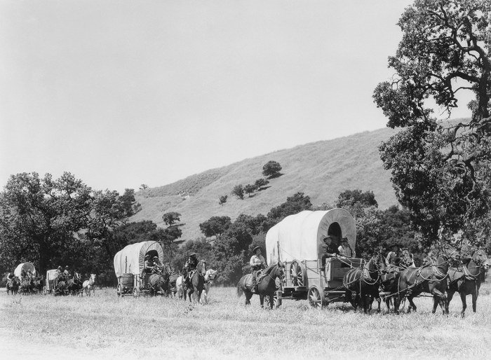 covered wagons