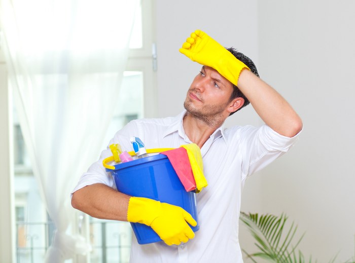 domestic cleaning