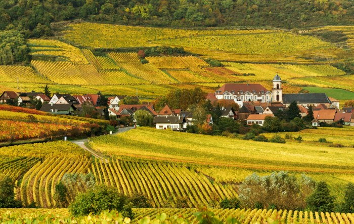 French countryside