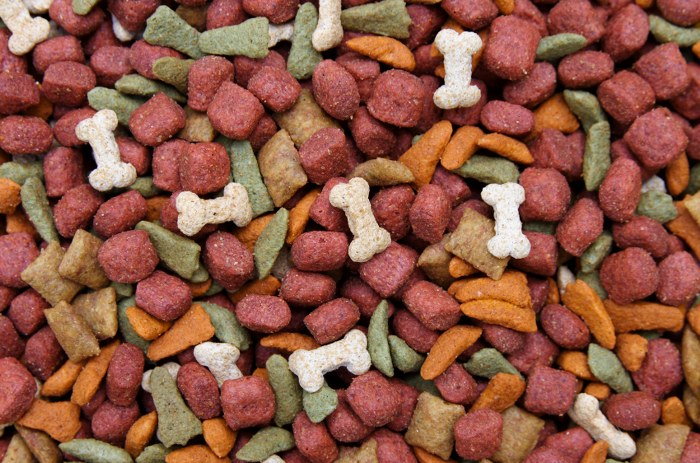 dog food