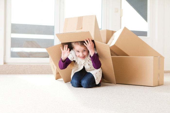 domestic removals with kids