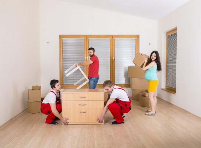 domestic removals