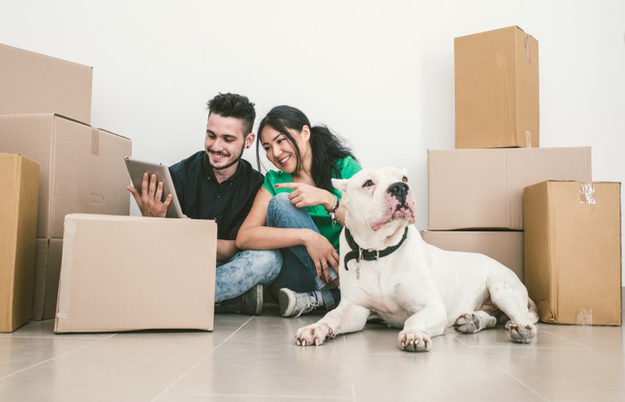 house removals with pets