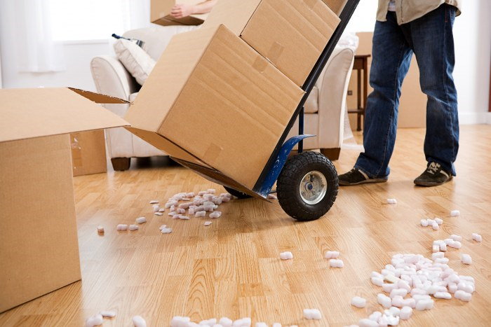 domestic removals