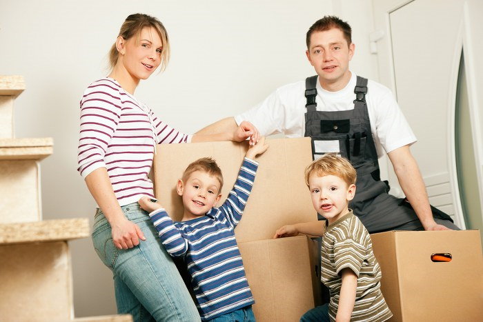 removal services