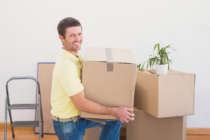 safe domestic removals