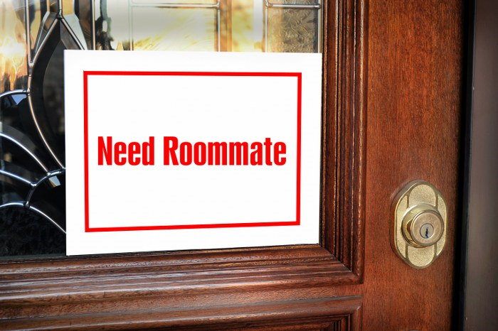 seeking a roommate