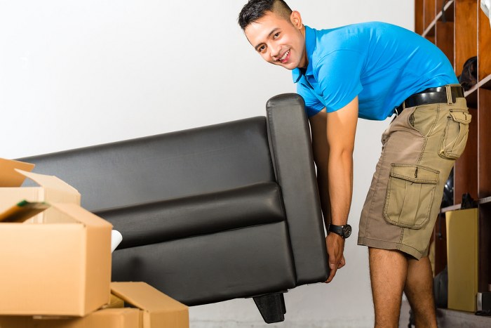 domestic removals