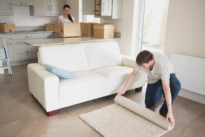 domestic removals